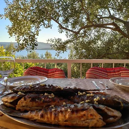 别墅 Maslina 科马尔纳