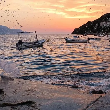 Maslina 科马尔纳