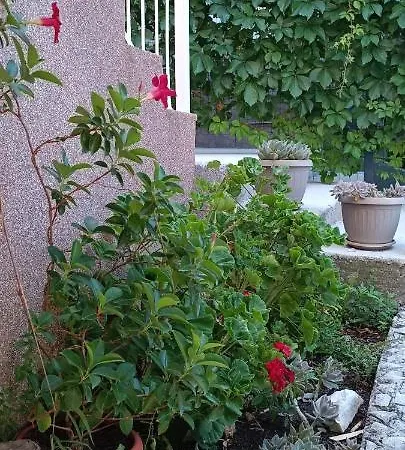 Maslina Villa *