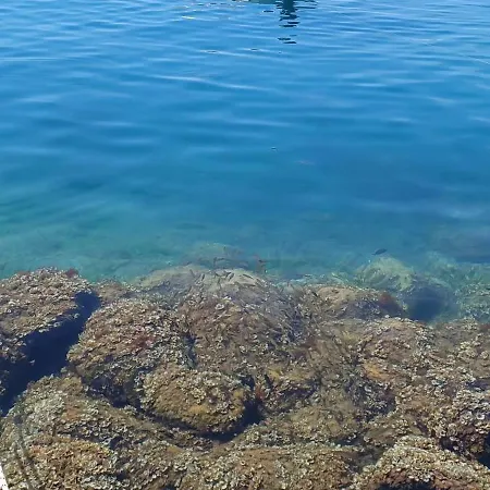 Maslina Vila Komarna