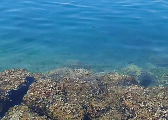 Maslina Villa Komarna